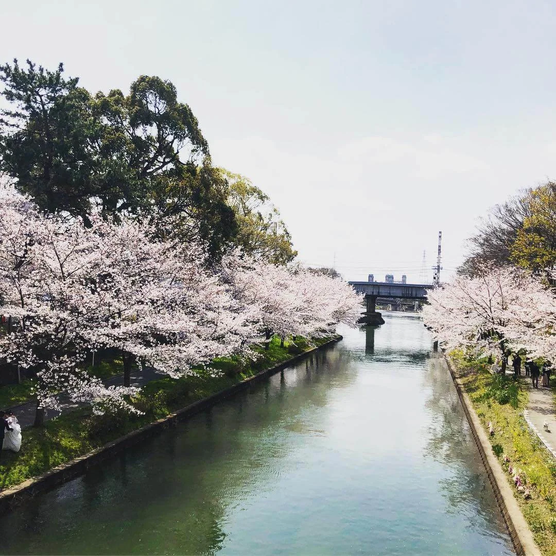 T-京都 伏見シェアハウス