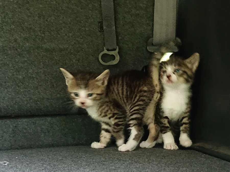 T-シェアハウス小台