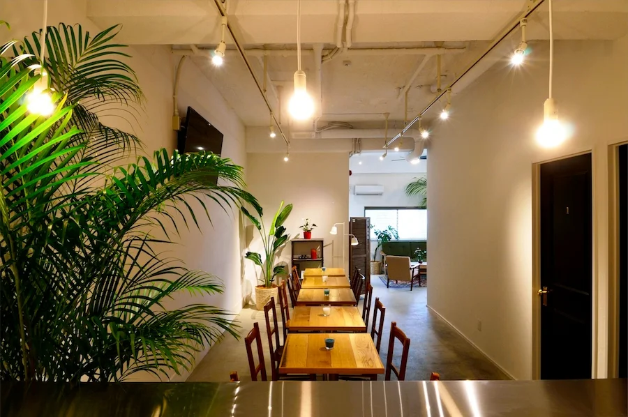 T-Palm tree house 中野