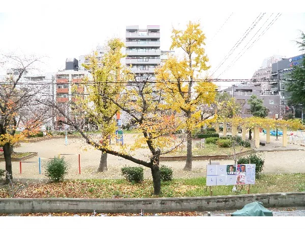 向かいの公園