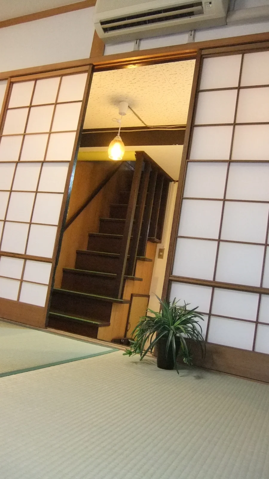 T-DEN新深江