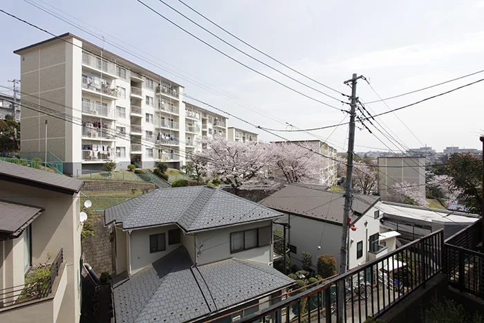窓からの景色