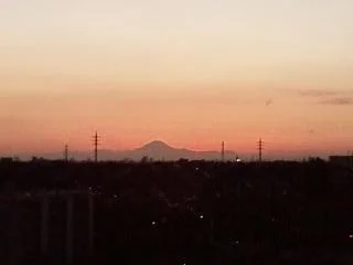 T-ソニアンハウス
