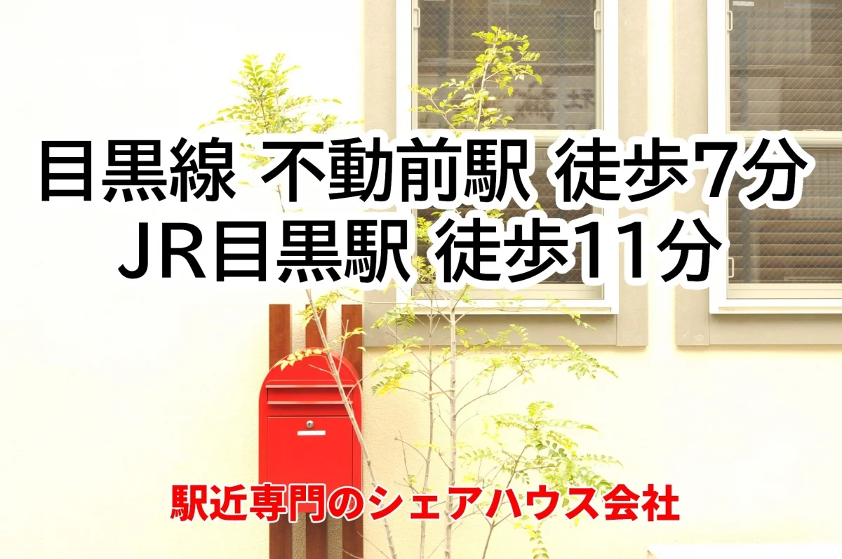 T-ソラーレ目黒