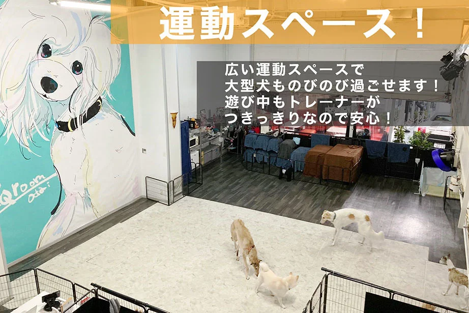 T-ペット施設の充実ハウス