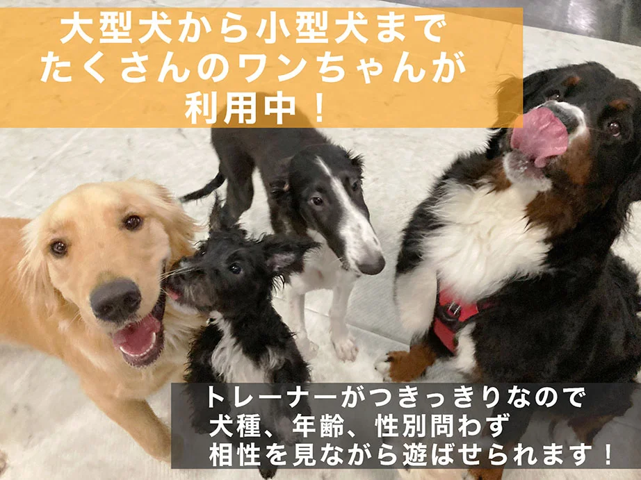 T-ペット施設の充実ハウス