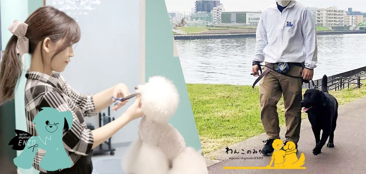 T-ペット施設の充実ハウス