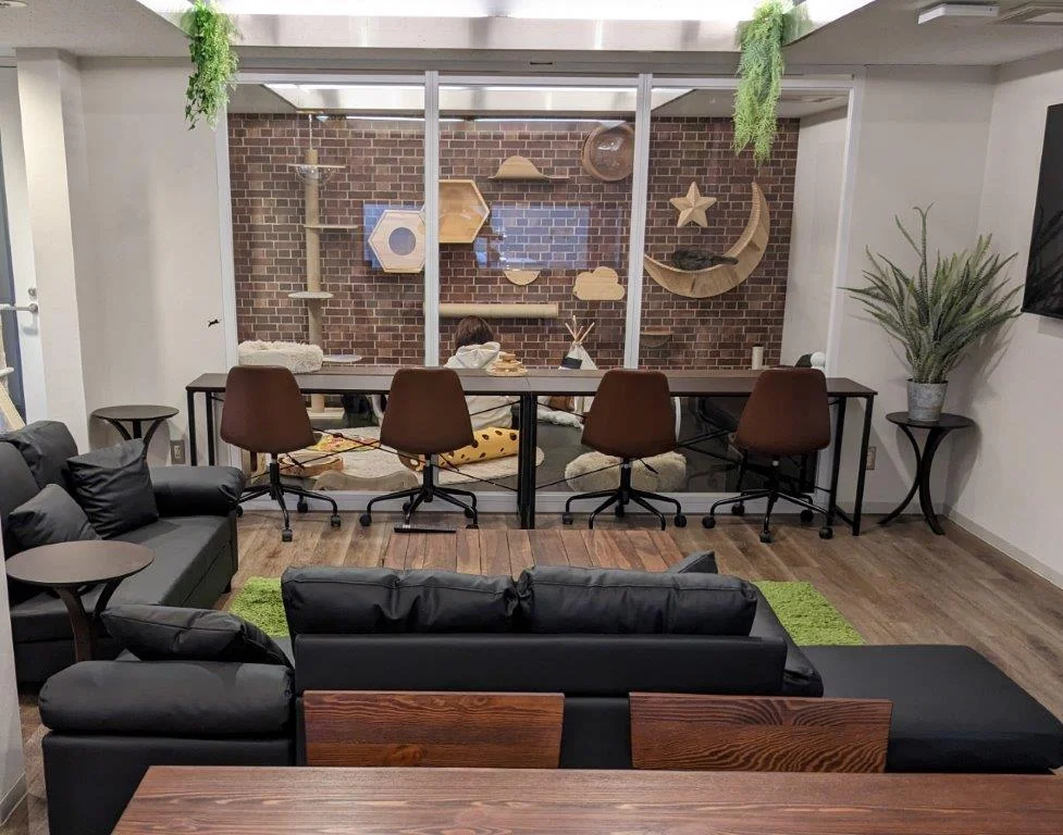 T-にゃんこの森横浜