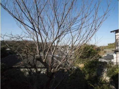 T-ANEST山手