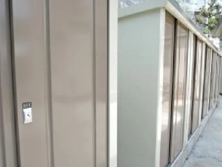T-アムール大口