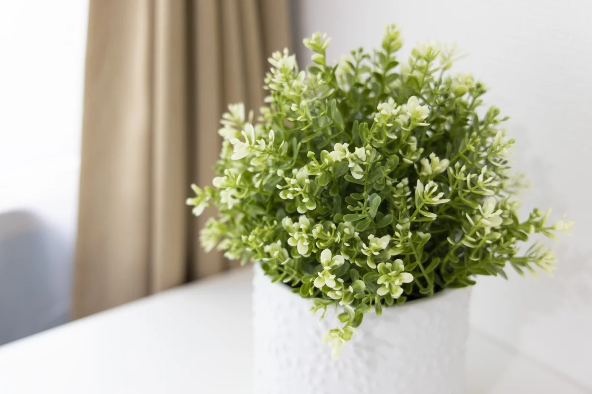 T-オリーブハウス新横浜