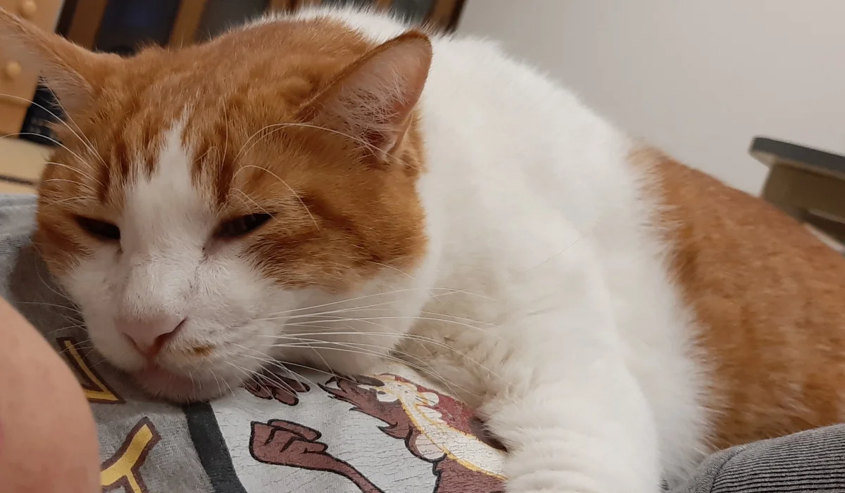 ✨新生活応援キャンペーン✨